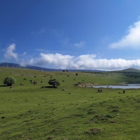 Casa Rural Ulibarri Allo 外观 照片