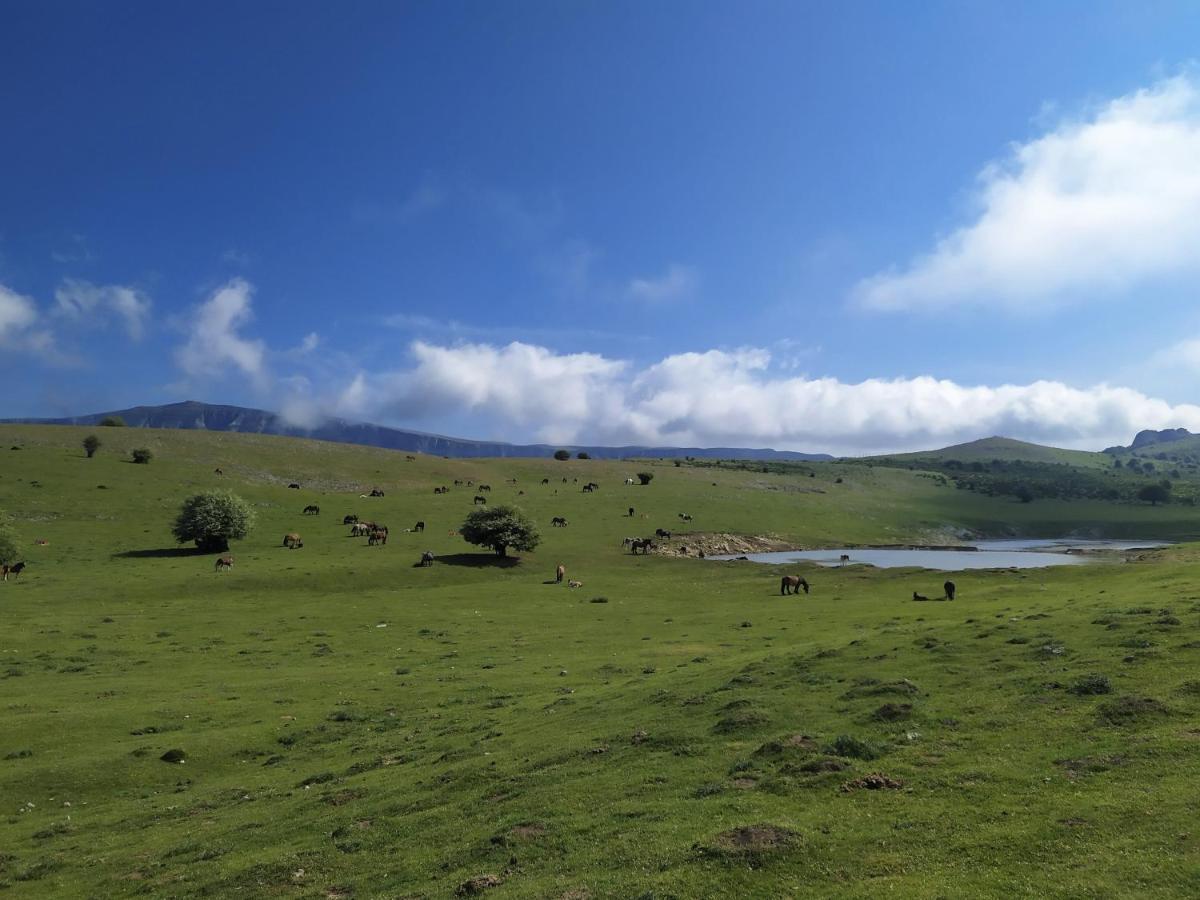 Casa Rural Ulibarri Allo 外观 照片